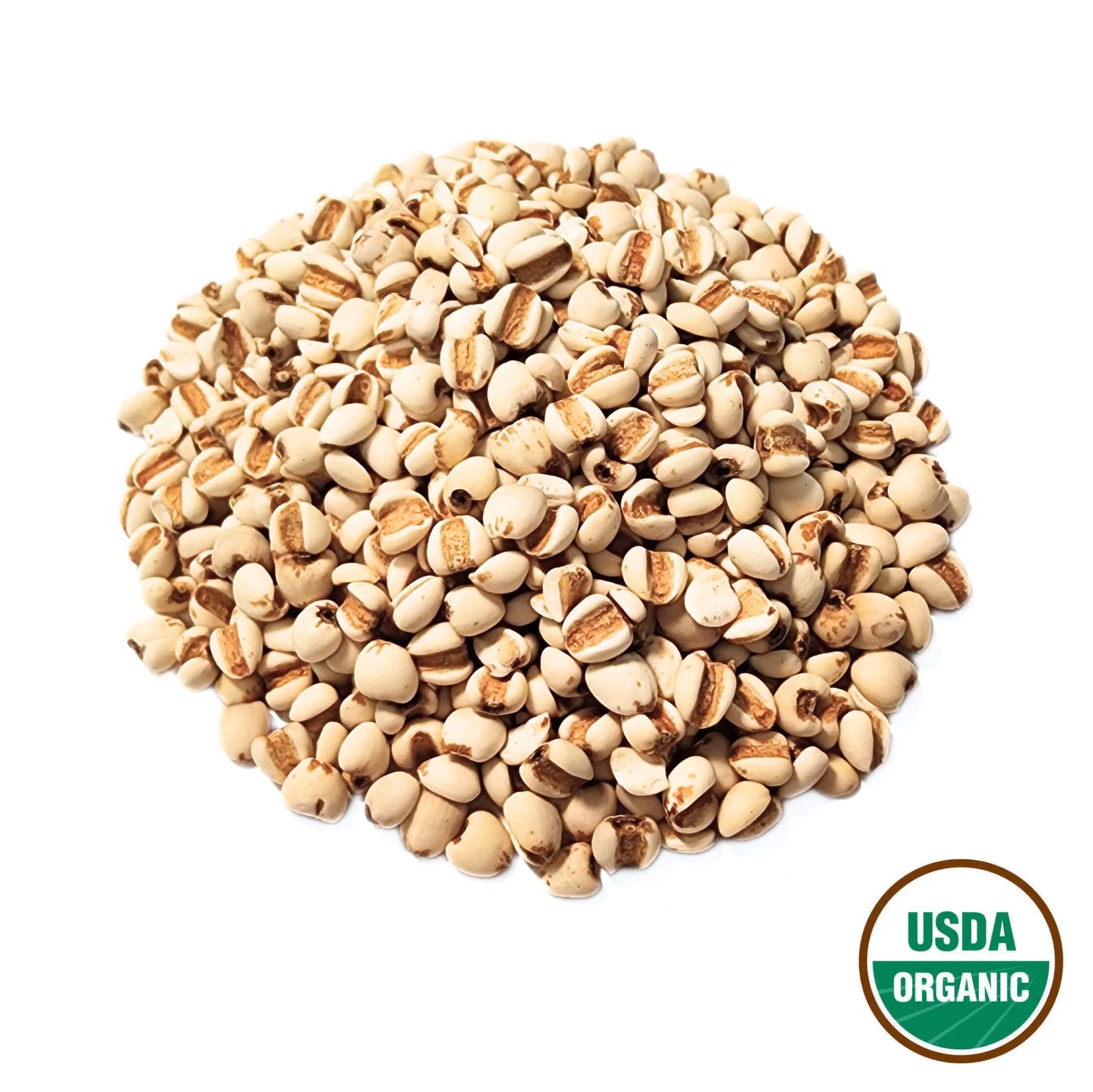 Job's Tears Seed - Coicis lacryma-jobi Semen - Yi Yi Ren - Organic Grade