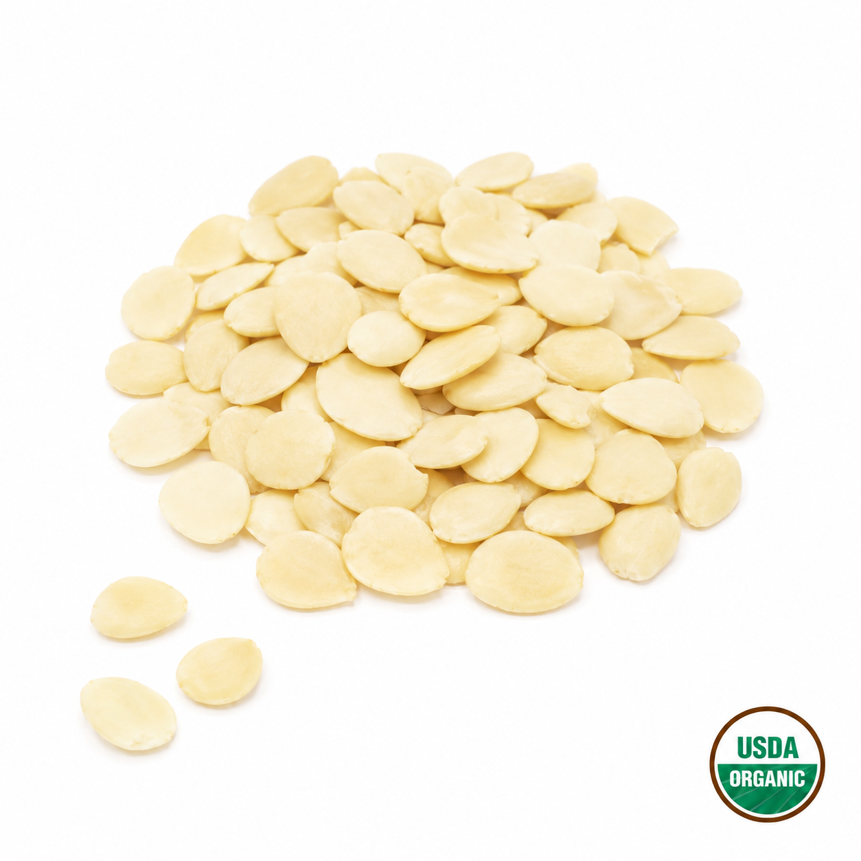 Organic Apricot Seed (no skin) - Xing Ren (Bei) - Armeniacae amarum Semen- Organic