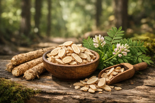 Where to Buy Woods-Grown Astragalus Root