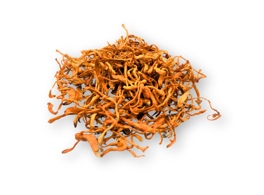 Cordyceps (Fruiting Body) - Cordyceps militaris - Chong Cao Hua - Organic