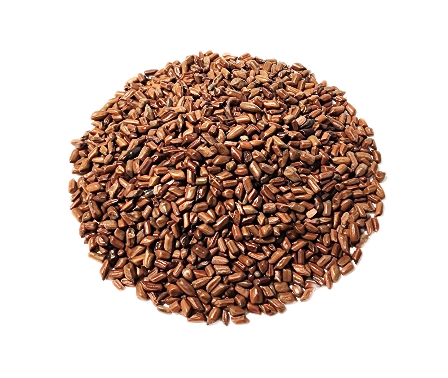 Cassia Seed  (Dry-fried) - Cassia obtusifolia Semen - Jue Ming Zi (Chao) - Organic Grade