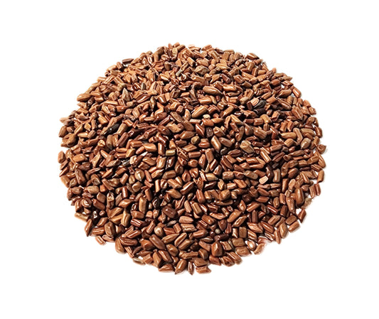 Cassia Seed  (Dry-fried) - Cassia obtusifolia Semen - Jue Ming Zi (Chao) - Organic Grade