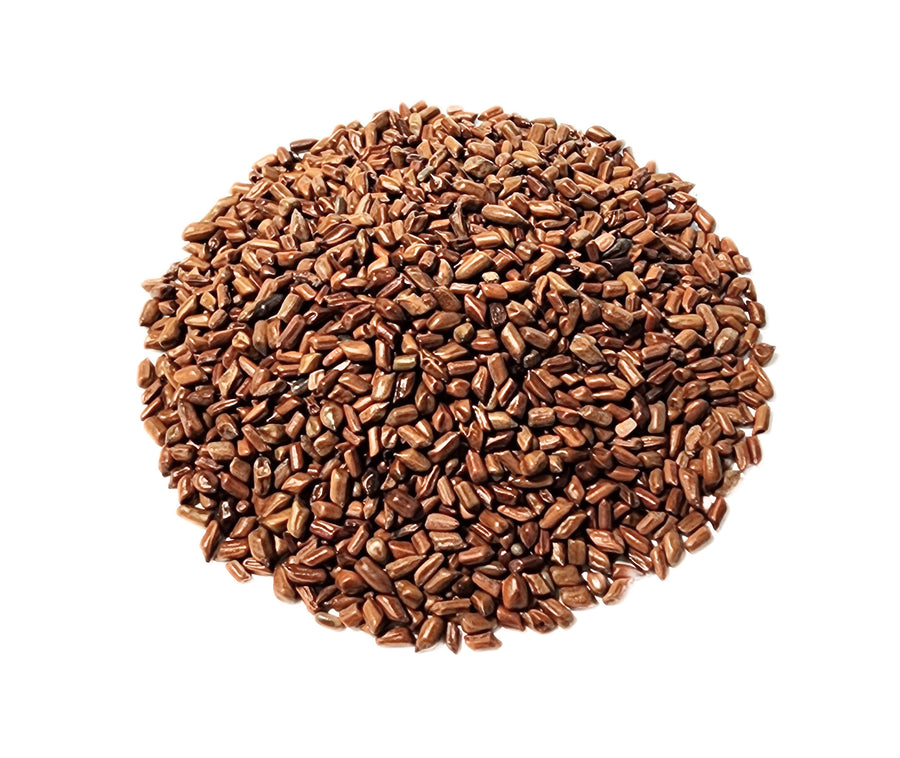 Cassia Seed  (Dry-fried) - Cassia obtusifolia Semen - Jue Ming Zi (Chao) - Organic Grade