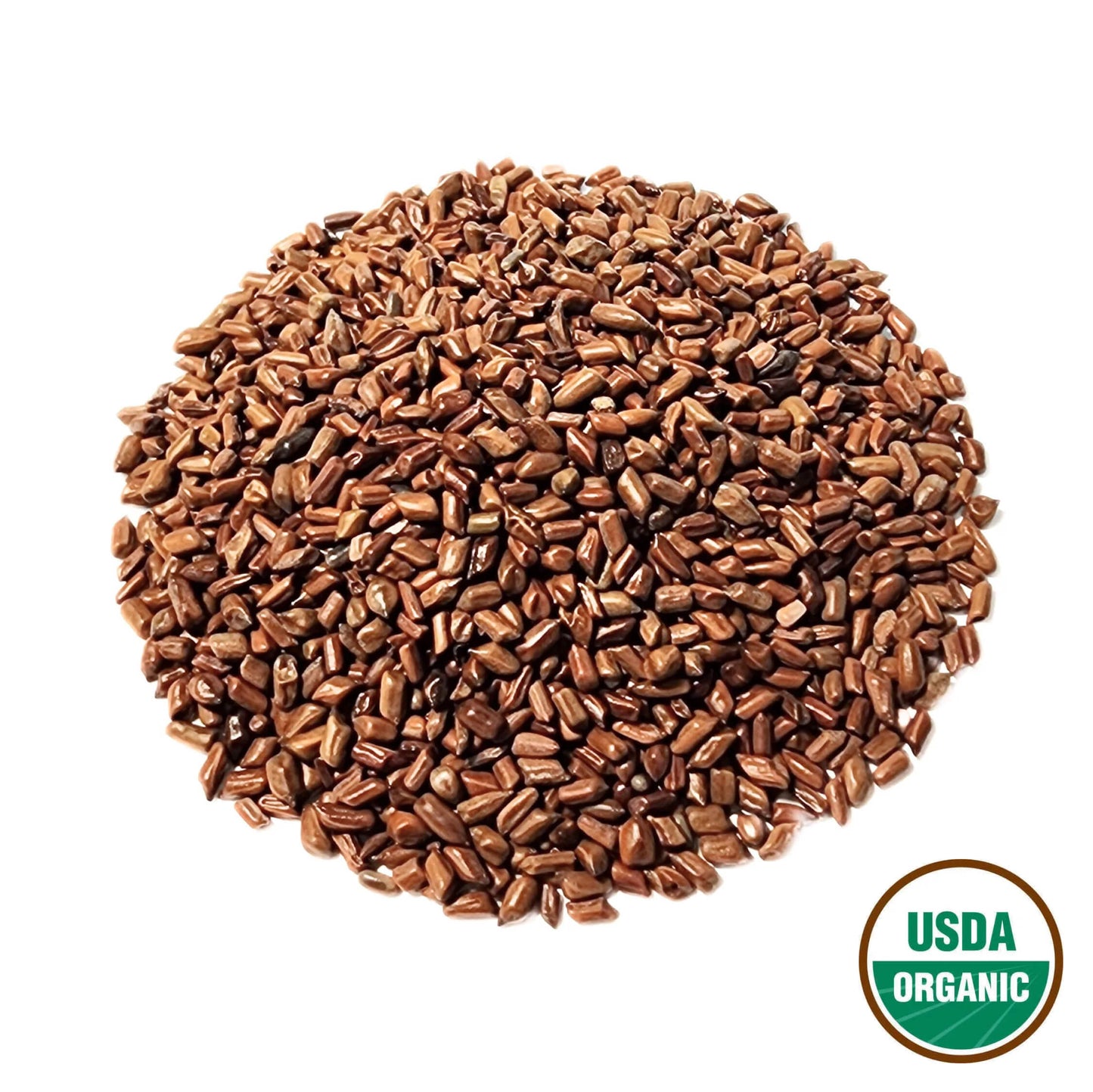 Cassia Seed  (Dry-fried) - Cassia obtusifolia Semen - Jue Ming Zi (Chao) - Organic Grade