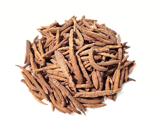 Pseudostellaria Root Tuber / Prince Ginseng Root - Pseudostellaria heterophylla Radix - Tai Zi Shen - ND Grade