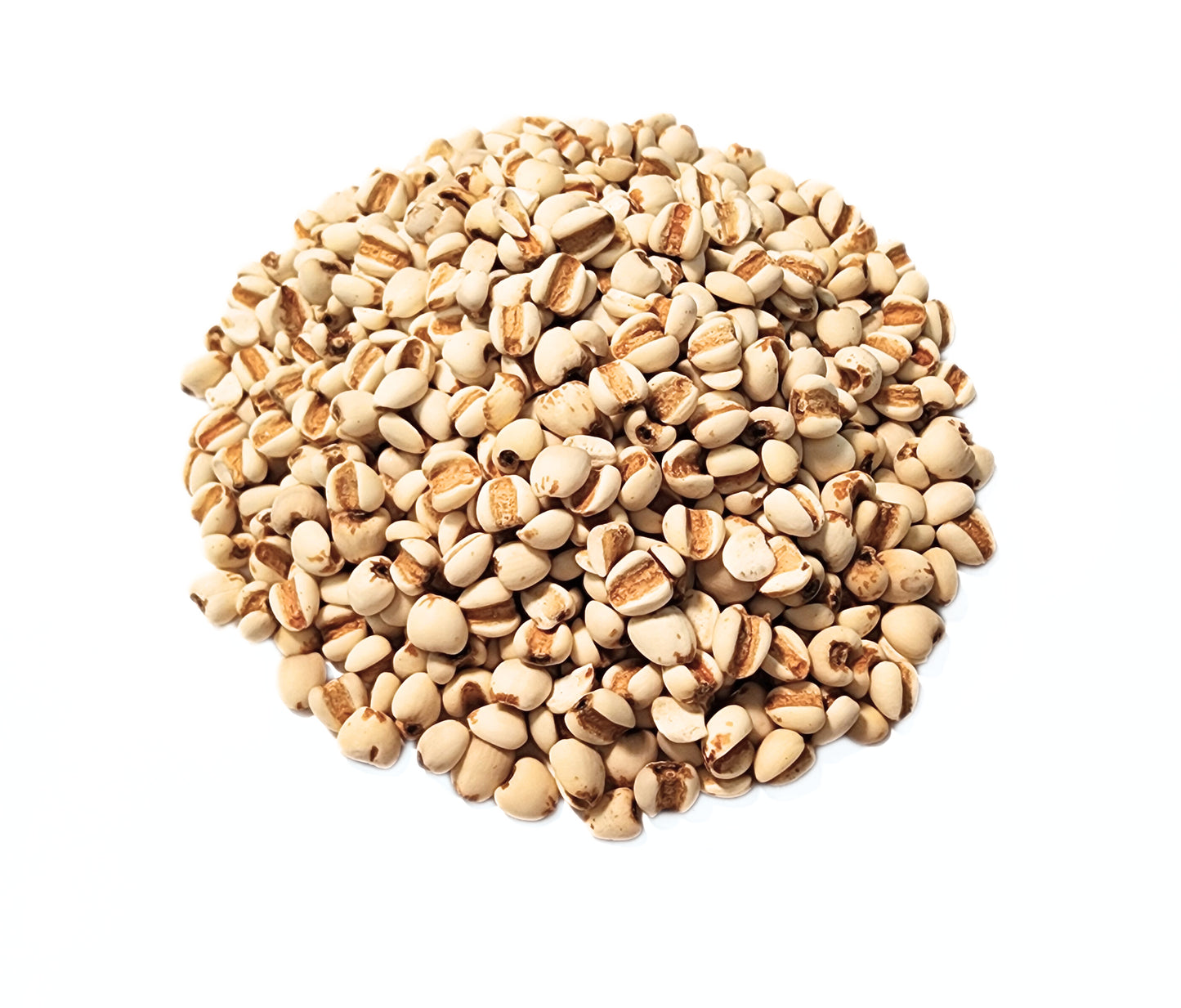Job's Tears Seed - Coicis lacryma-jobi Semen - Yi Yi Ren - Organic Grade