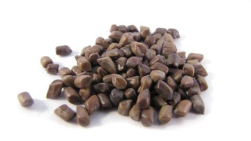 Cassia Seed  (Dry-fried) - Cassia obtusifolia Semen - Jue Ming Zi (Chao) - Organic Grade