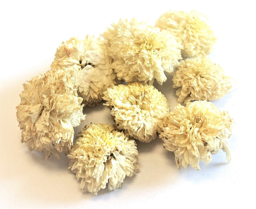 Chrysanthemum Flower (White, Taiwan Grown)- Chrysanthemum morifolium Flos - Ju Hua (Bai) - ND Grade