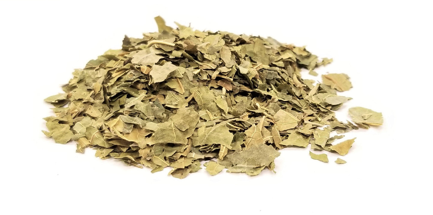 White Mulberry Leaf - Morus alba Folium - Sang Ye - Organic Grade